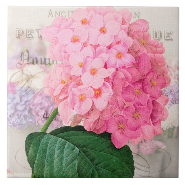 Vintage Redoute Rosa Hydrangea Ceramic Tile Kakelplatta (Framsidan)