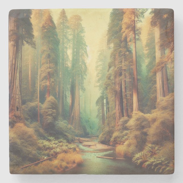 Vintage Redwood National Park California Stenunderlägg (Framsidan)