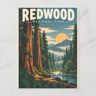 Vintage Redwood National Park Kalifornien Vykort
