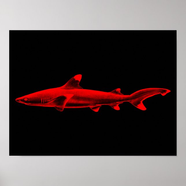 Vintage Reef Shark Illustration Red Black Sharks Poster (Framsidan)