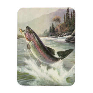Vintage Regnbågsbuskfiske, fiskare Magnet
