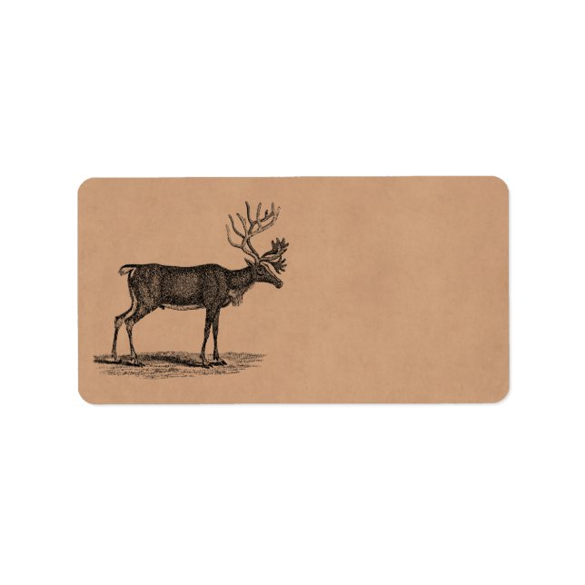 Vintage Reindeer Illustration - 1800 års jul Adressetikett (Framsidan)
