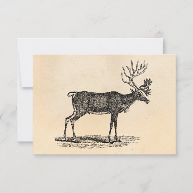 Vintage Reindeer Illustration - 1800 års jul Inbjudningar (Framsida)