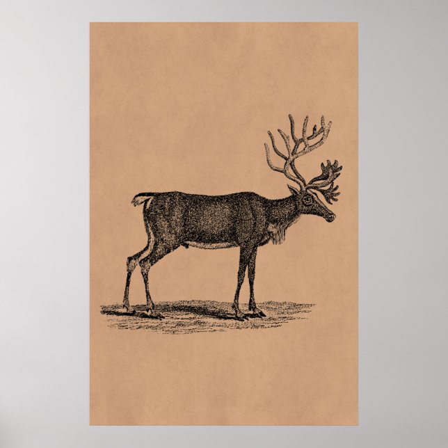 Vintage Reindeer Illustration - 1800 års jul Poster (Framsidan)