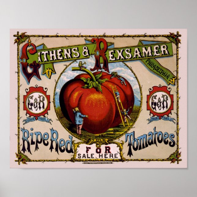 Vintage Reklam Ripe-röda tomater Poster (Framsidan)
