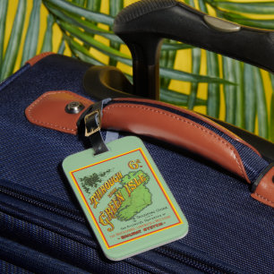 Vintage resor järnvägsturistikguide till Irland Bagagebricka