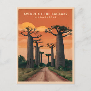 Vintage resor Madagaskar Baobab Träd Landskap Vykort