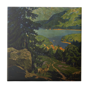 Vintage resor Poster för Adirondacks Kakelplatta