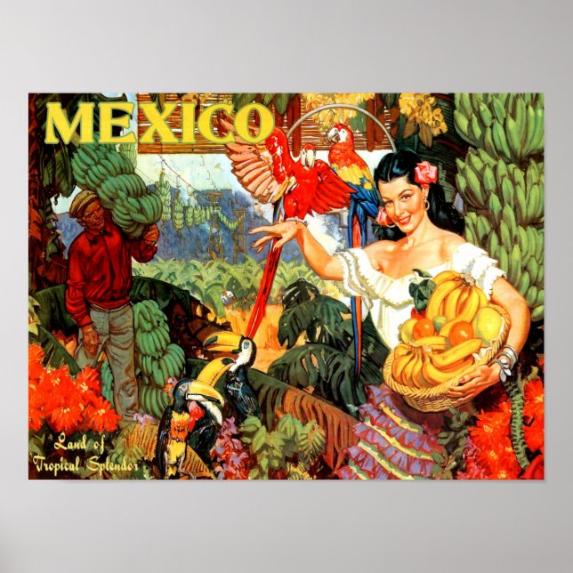 Vintage resor Poster Mexiko (Framsidan)