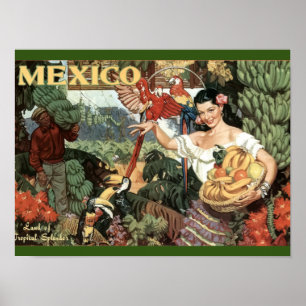 Vintage - Resor - Poster - Mexiko - tropiska