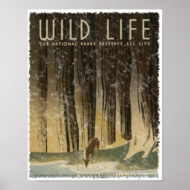 Vintage resor Poster - Wildlife circa 1934 (Framsidan)