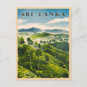 Vintage resor Sri Lanka Ceylon Tea Plantation Vykort