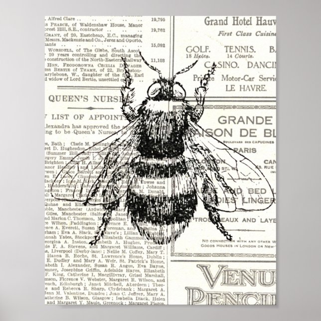 Vintage Retro Bee Newsprint Black and White Poster (Framsidan)