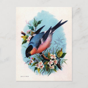 Vintage Retro Bird på Gren vykort