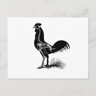 Vintage Retro Chicken Anatomy Sketch-vykort Vykort