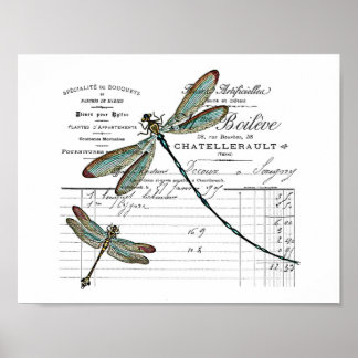 Vintage, Retro Design Frankreich - Libelle, Insekt Poster