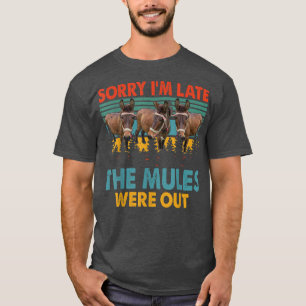 Vintage Retro Förlåt att jag är sen att molekylern T Shirt