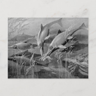 Vintage retro-ichthyosaur svart-vit bild vykort