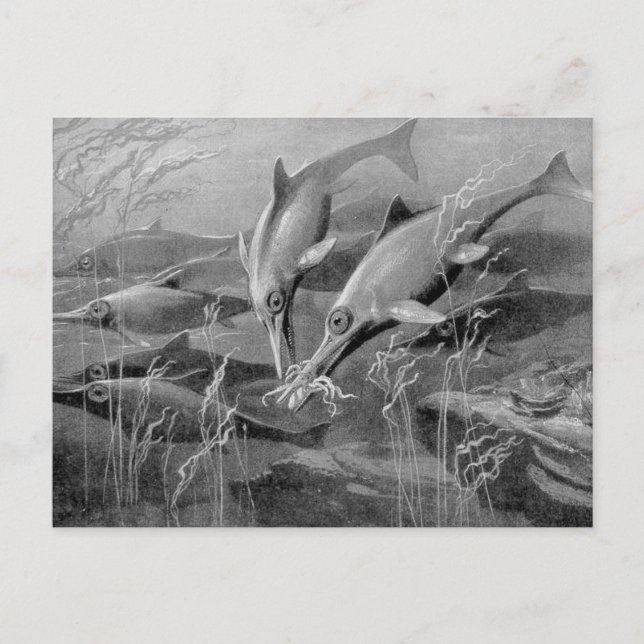 Vintage retro-ichthyosaur svart-vit bild vykort (Framsida)
