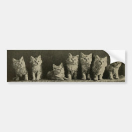 Vintage Retro Old Timey Kittens Kattunge Cats Bildekal