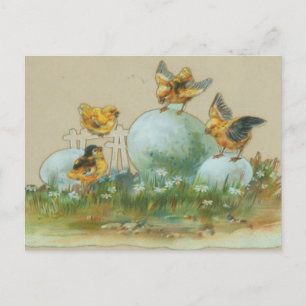 Vintage Retro Påsk Chickar med ägg Vykort