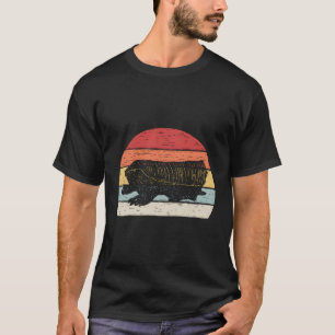 Vintage Retro Rosa Fairy Armadillo T Shirt