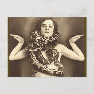 Vintage Retro Women Sideshow Snake Charmer Vykort