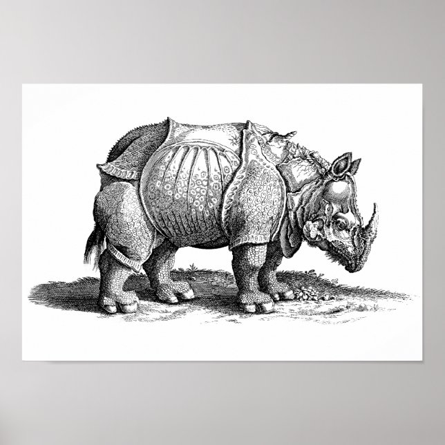 Vintage Rhino - Dürer's Rhinoceros Poster (Framsidan)