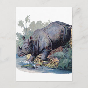 Vintage Rhino Vykort