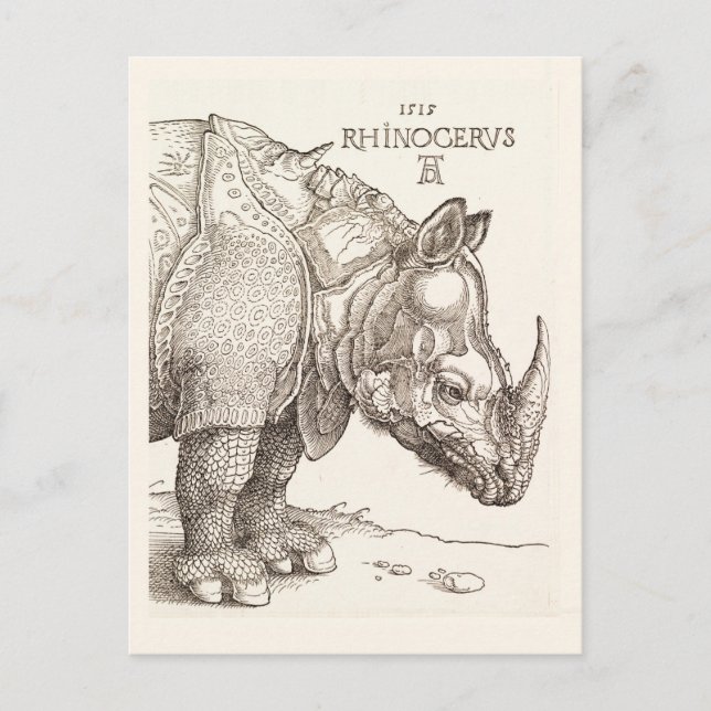Vintage Rhinoceros vykort (Framsida)