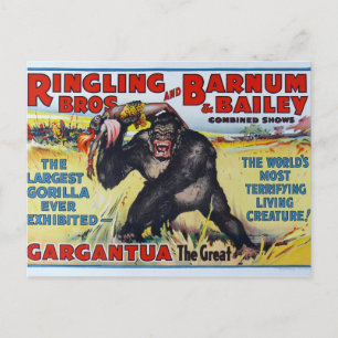 Vintage Ringling Bros vykort
