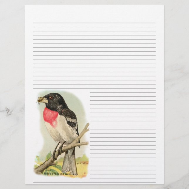 Vintage Ro Brast Grosbeak Lintet Letterhead (Framsida)