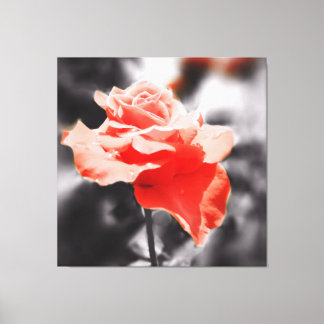 Vintage Ro Flower Canvastryck