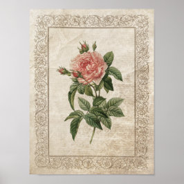 Vintage Ro I Botaniskt Poster