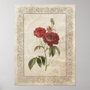 Vintage Ro II Botaniskt Poster
