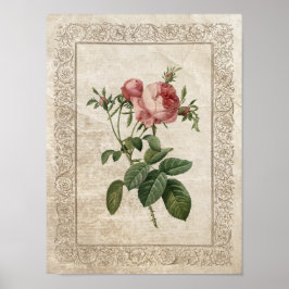 Vintage Ro III Botaniskt Poster
