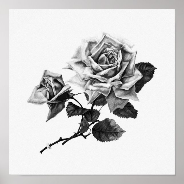 Vintage Ro Illustration Poster (Framsidan)