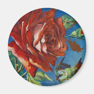 Vintage Ro och fåglar Magnet