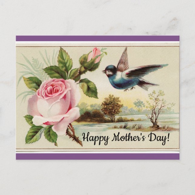 Vintage Ro och fåglar Vykort (Framsida)