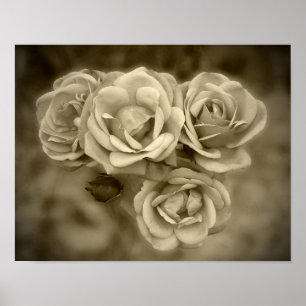 Vintage Ro Sepia Poster