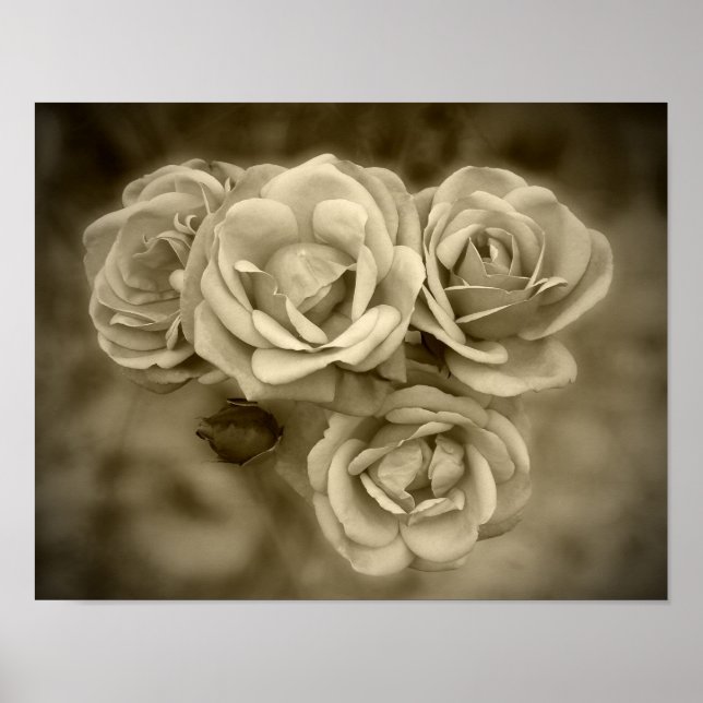 Vintage Ro Sepia Poster (Framsidan)