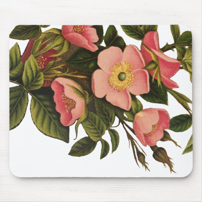 Vintage Ro Vackert Rosa Botaniskt Musmatta (Framsidan)