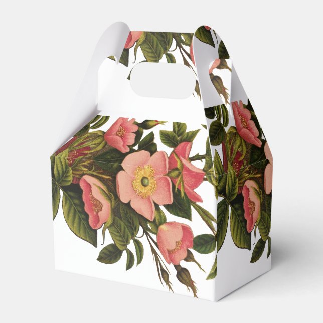 Vintage Ro Vackert Rosa Botaniskt Presentaskar (Framsidan Sidan)