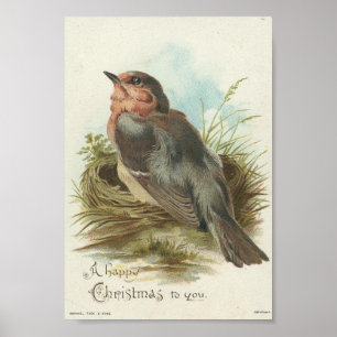Vintage Robin, jul Poster