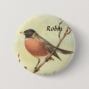 Vintage Robin knäppas Knapp