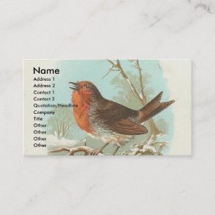 Vintage Robin Visitkort