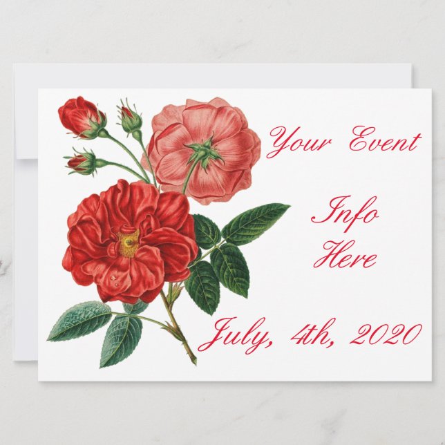 Vintage Röd ros Illustration Thunder_Cove (Framsida)