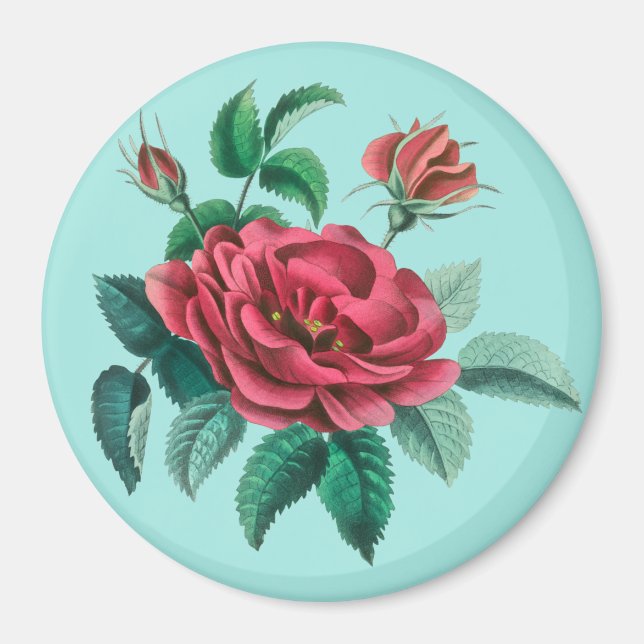 Vintage Röd ros Magnet (Framsidan)