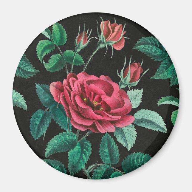 Vintage Röd ros Magnet (Framsidan)