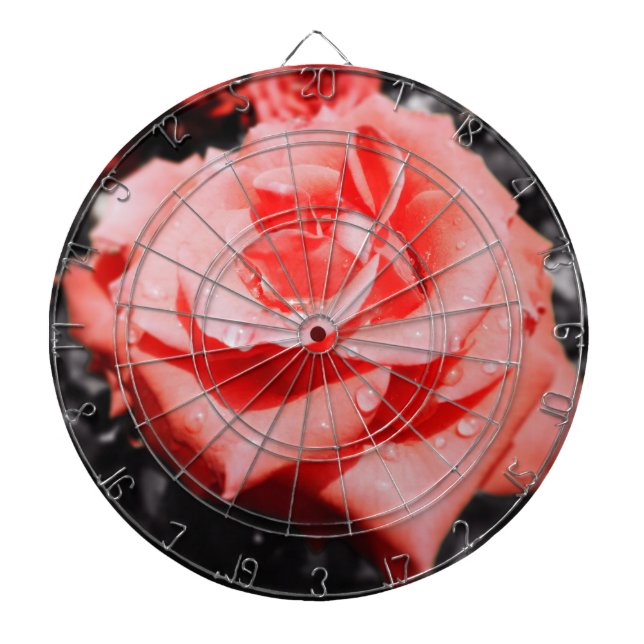 Vintage Röd ros Piltavla (Framsidan)